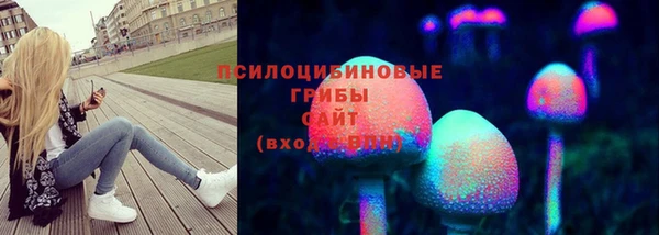 гашик Беломорск