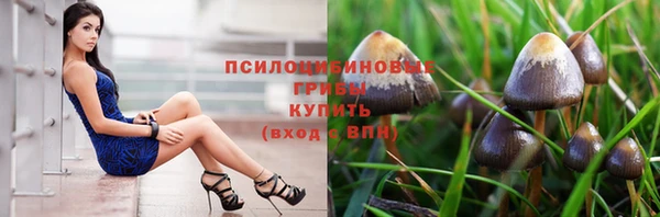 Альфа ПВП Белоозёрский