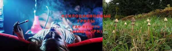 гашик Беломорск
