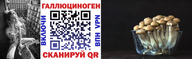 дарнет шоп  Верхний Уфалей  Псилоцибиновые грибы прущие грибы 